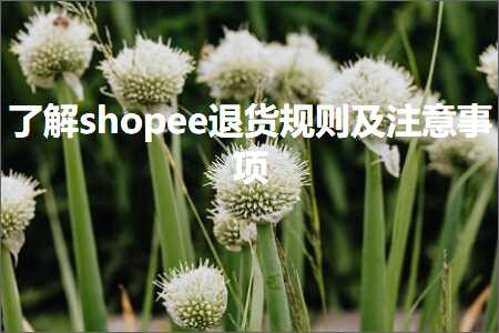 梁平网站推广 跨境电商知识:了解shopee退货规则及注意事项